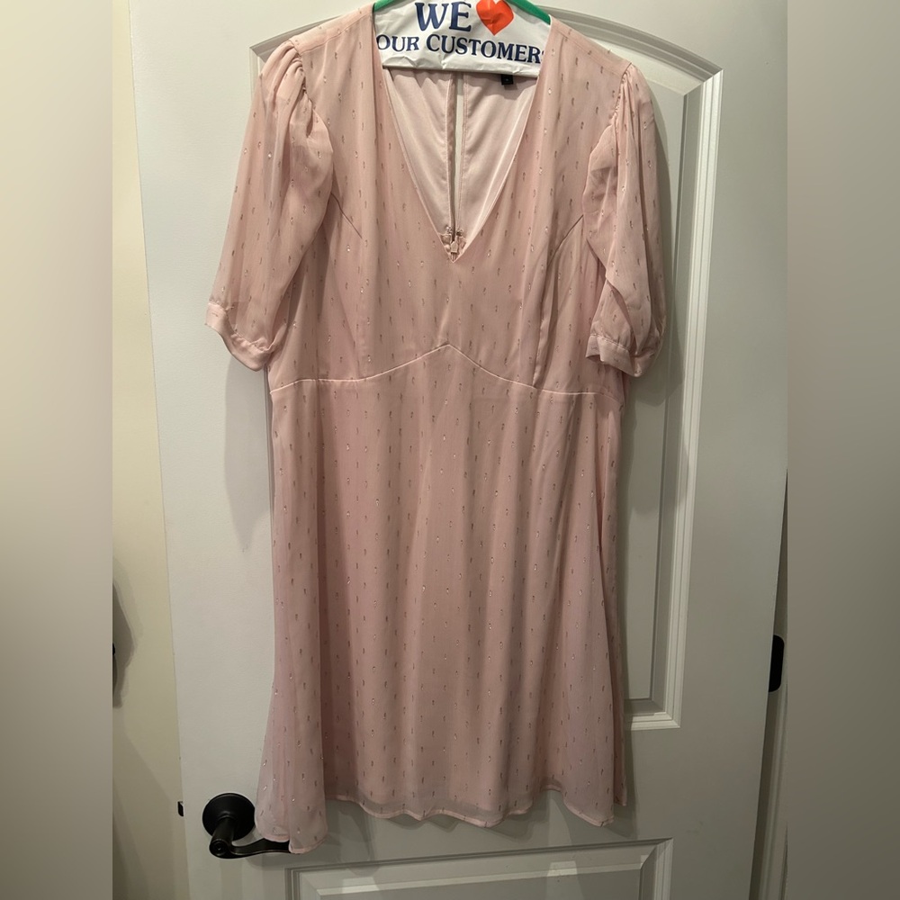 Express Light Pink Blouse